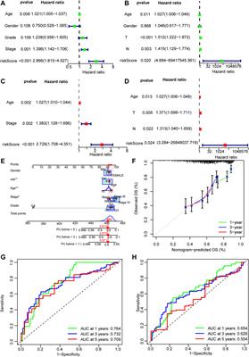 A Novel Signature of Necroptosis-Associated Genes as a Potential Prognostic Tool for Head and Neck Squamous Cell Carcinoma